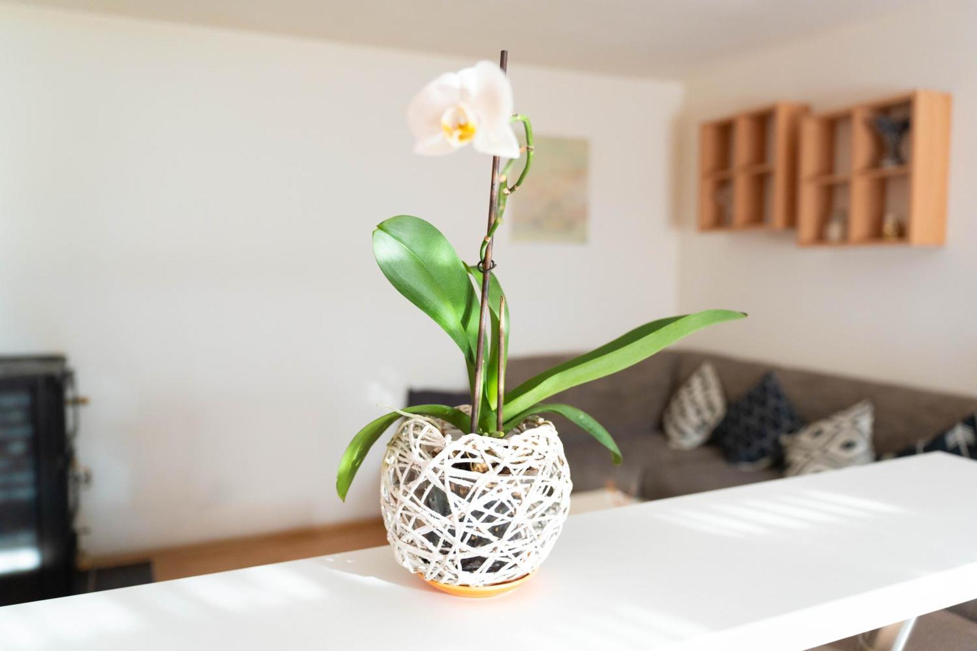 Apartman Lili Knin Bagian luar foto